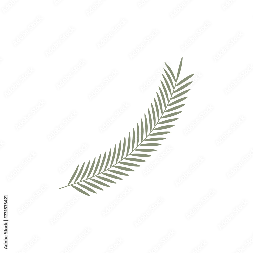 Drawn branch on white background Drawn branch on white background