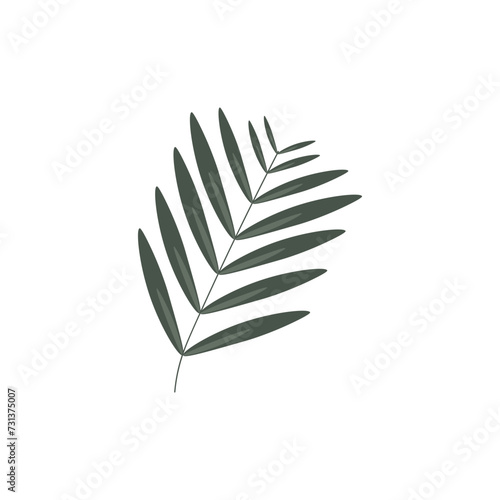 Drawn branch on white backg...