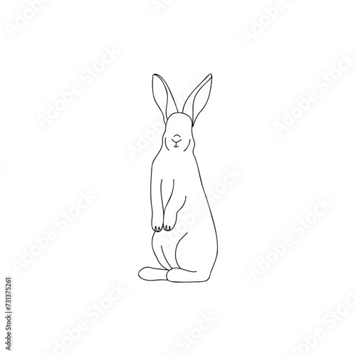 Cute drawn bunny on white b...