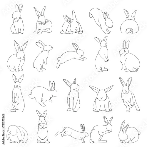 Set of many drawn bunnies o...