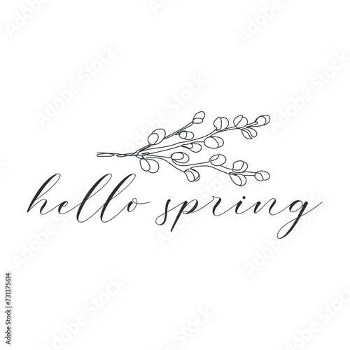 Text HELLO, SPRING and drawn pussy willow branch on white background