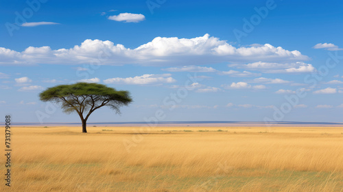 A single acacia tree stands in the vast expanse of savanna © Artyom