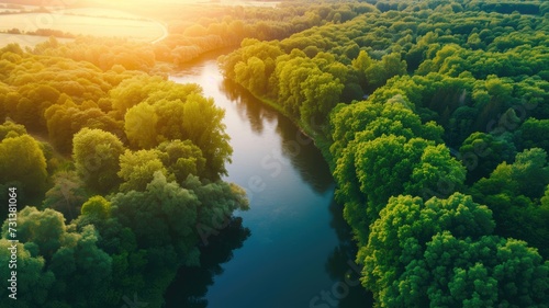 Sunrise casts a golden glow over a serene river winding through a lush forest