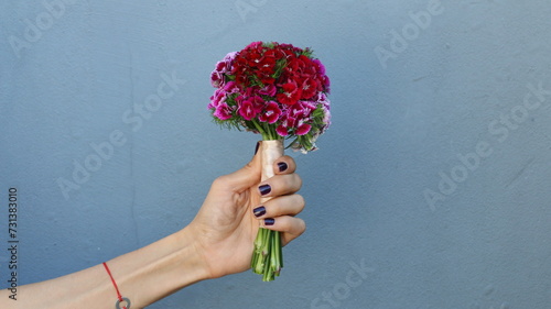 Clavel del poeta, ramo de novia, de claveles rosa y rojo photo