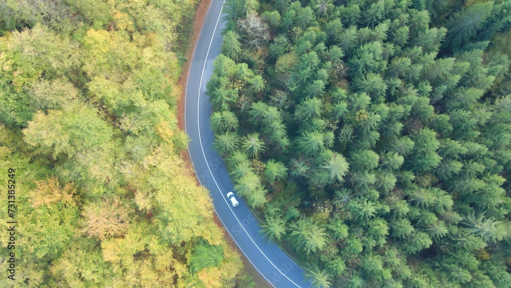 Aerial view of self-driving car driving on country road through forest