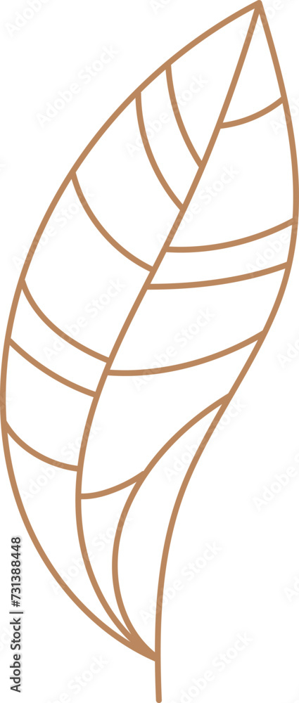 Tropical Leaf Outline Tropical Leaf Outline