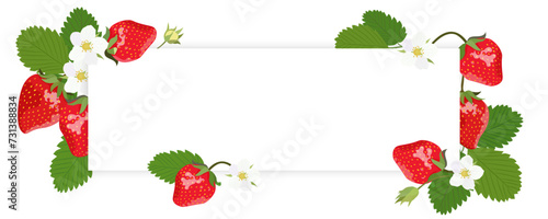 Horisontal banner with strawberry, flowers and green leaves isolated on a white background. Vector illustration.
