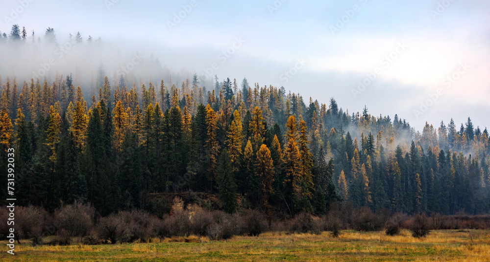 Autumn Mist. Autumn Mist.