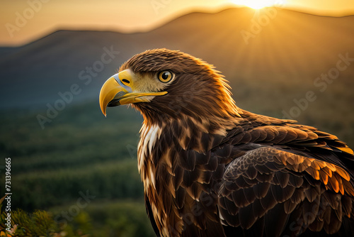 Extreme Close-up Picture of an Eagle Face with Piercing Eyes, created with Generative AI technology