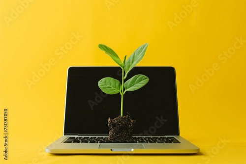 Laptop with plant seedling on keyboard on yellow background with copy space