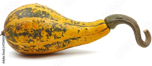An organism of the banana family, resembling a yellow and green gourd with a long stem, displayed on a white background.