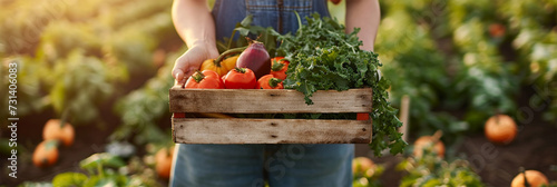  Farmer holding a wooden crate brimming with fresh, colorful vegetables in a sunlit field. Harvest field 