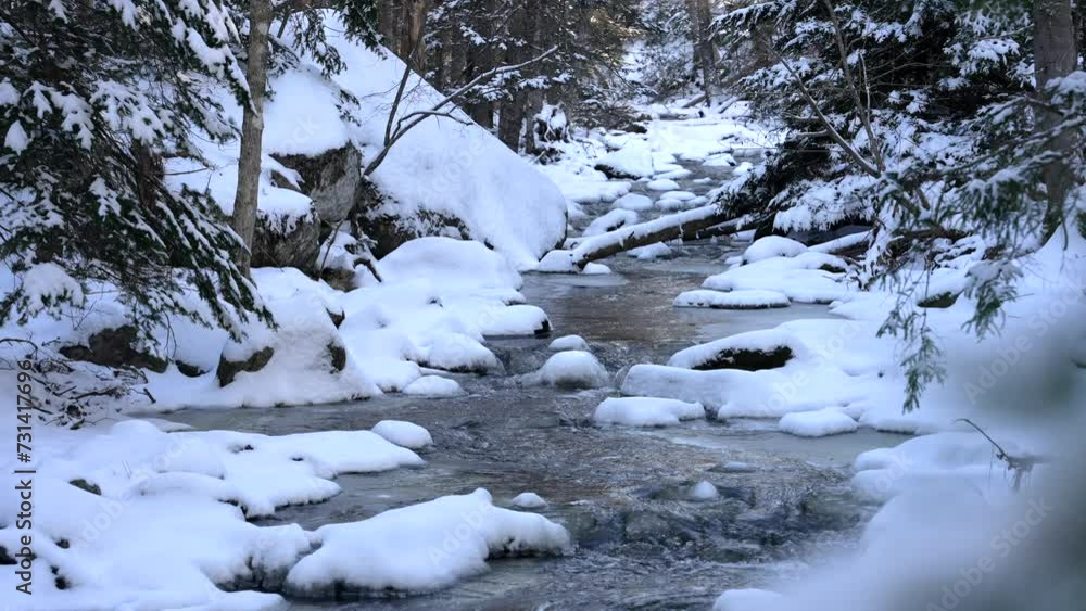 Icy stream flows in slow motion as snow covers rocky hillslope and evergreen trees Icy stream flows in slow motion as snow covers rocky hillslope and evergreen trees