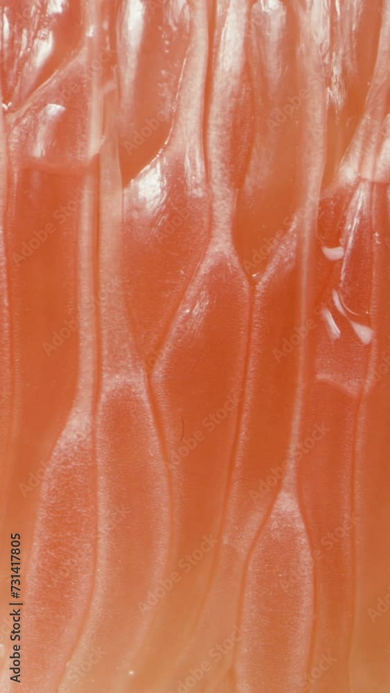 Vertical video. Juicy Red Pomelo Flesh Dripping with Water and Juice Droplets. Slider, close up. Vertical video. Juicy Red Pomelo Flesh Dripping with Water and Juice Droplets. Slider, close up.