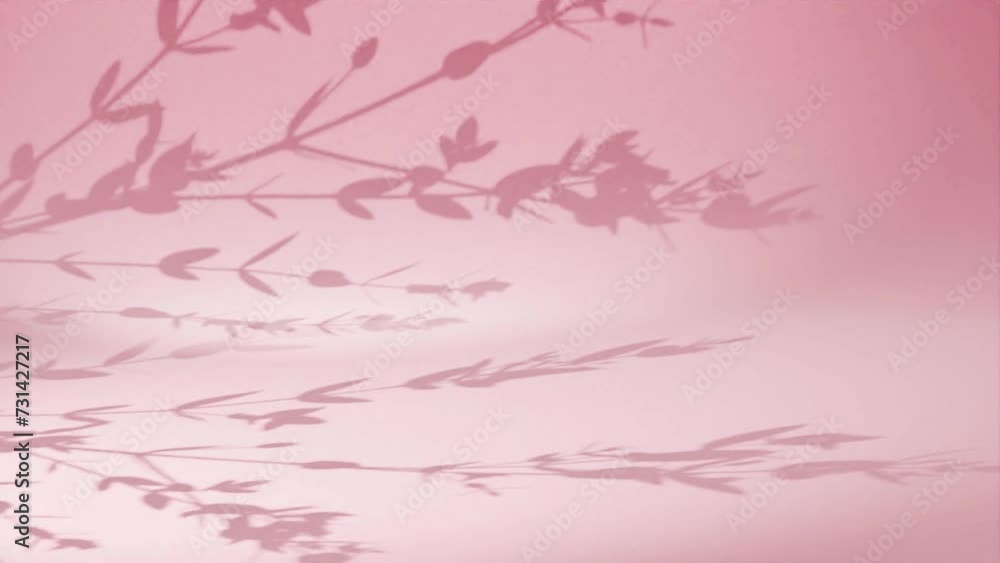 Plant tree leaf shadow gently moving by summer breeze on red wall background animation loop rendering Plant tree leaf shadow gently moving by summer breeze on red wall background animation loop rendering