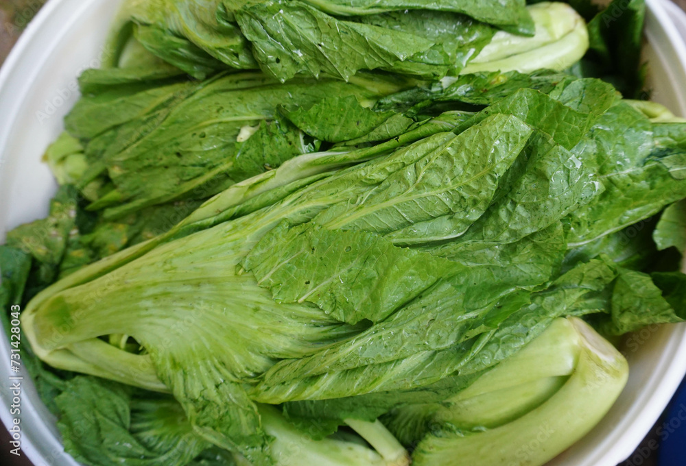 Bitter mustard greens freshly harvested from the garden. Bitter mustard greens freshly harvested from the garden.
