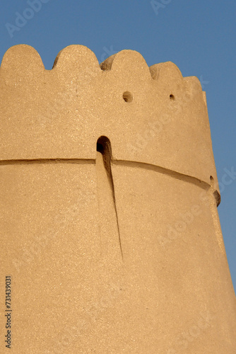 Guard Tower of Agha Ali Rafsanjan Palace, Kerman, Iran