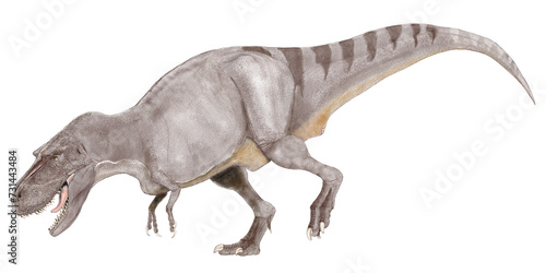 Photo ティラノサウルス科の大型肉食恐竜ゴルゴサウルス。アルバートサウルスと近縁のため、同種に含められたが、現在は単独の属として一種のみが認められている。オリジナル復元
