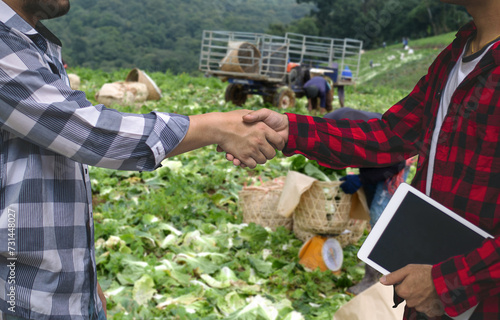 Canvastavla Two farmers making a deal with a handshake in a lush vegetable field, symbolizing agricultural partnerships