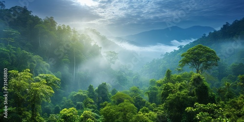 The breathtaking beauty of our Earth  from lush rainforests. Explore images that showcase the diversity of landscapes  emphasizing the need to conserve and cherish these natural wonders