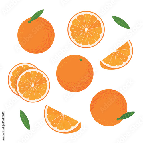 Vector orange fruit and set of orange slices