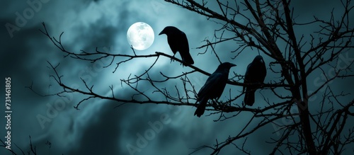 Three birds sit on a tree branch, silhouetted against the full moon amidst the dark sky, with feathers rustling in the wind. photo