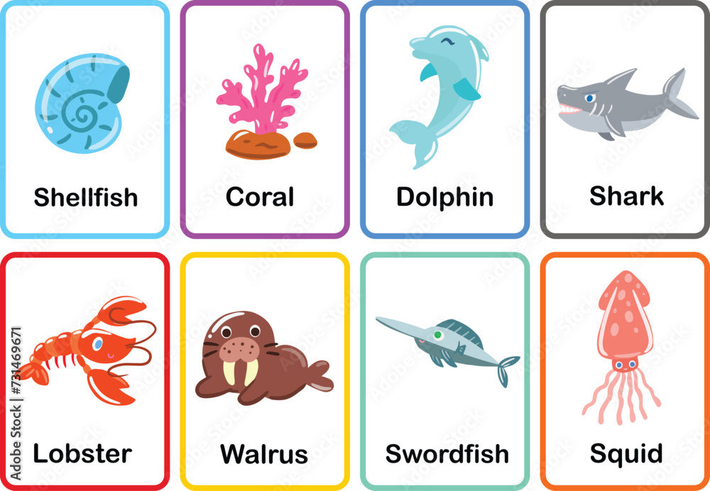 sea animals flash cards hand draw cute vector set memory gam sea animals flash cards hand draw cute vector set memory gam