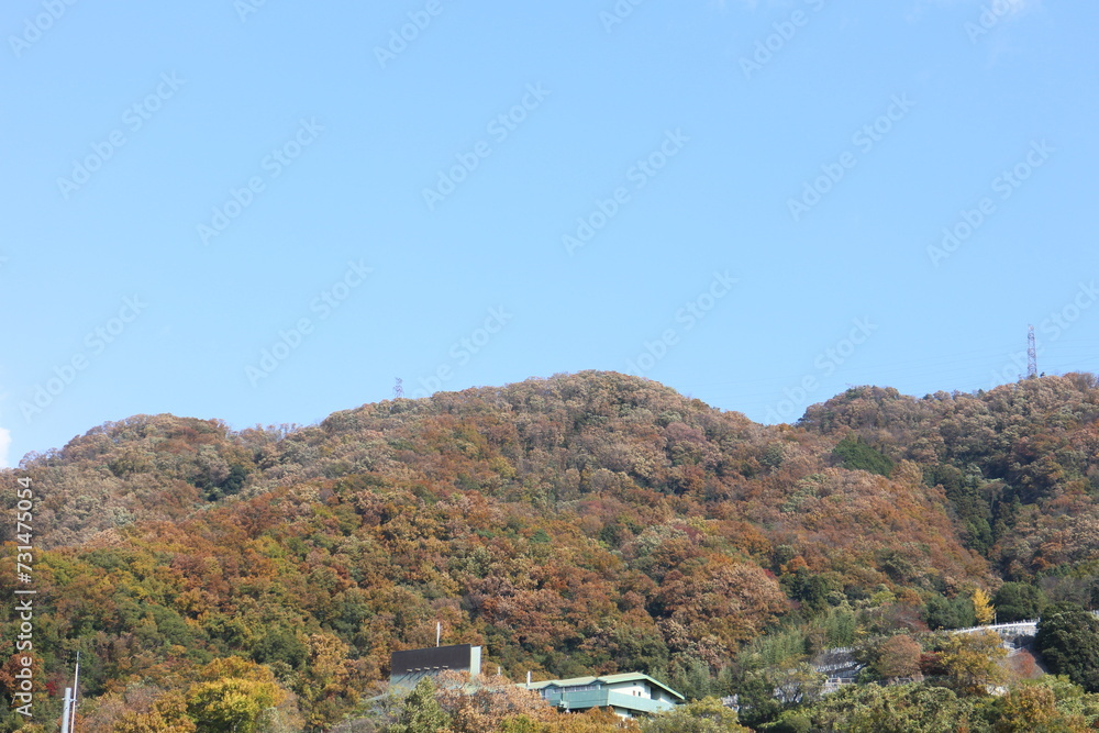 秋の風景　紅葉の山