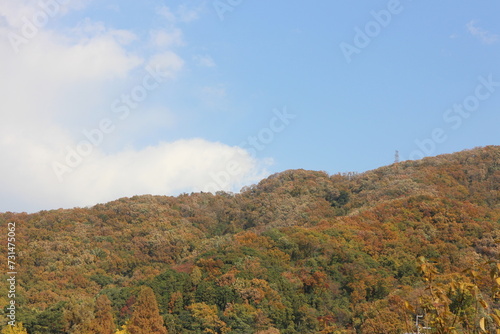 秋の風景　紅葉の山 © nyanmuro