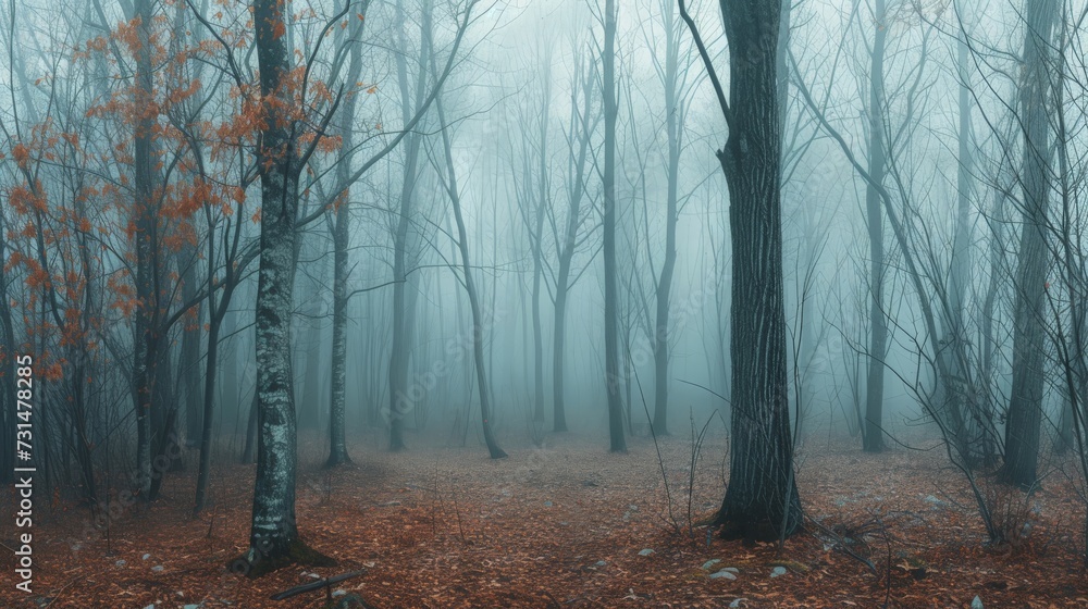 Fototapeta premium Panorama of foggy forest. Fairy tale spooky looking woods in a misty day. Cold foggy morning in horror forest
