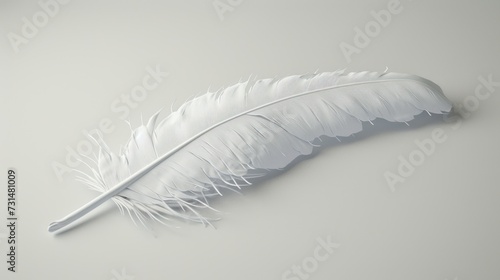 white dove feather clipping path on white Isolated background.