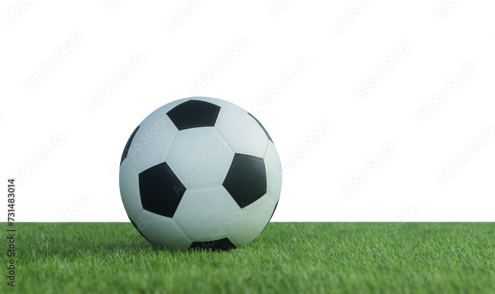 Fototapeta premium football on lawn png transparent