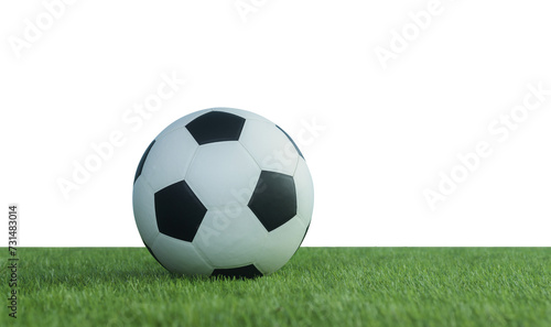 football on lawn png transparent