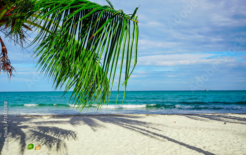 Beach in Sihanoukville. Palm trees and blue sea