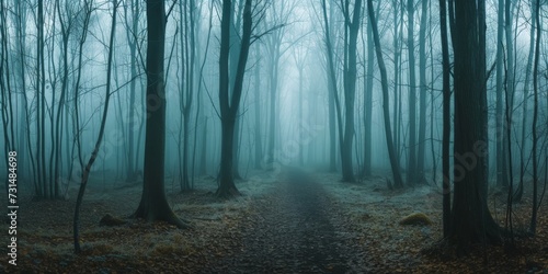 Panorama of foggy forest. Fairy tale spooky looking woods in a misty day. Cold foggy morning in horror forest
