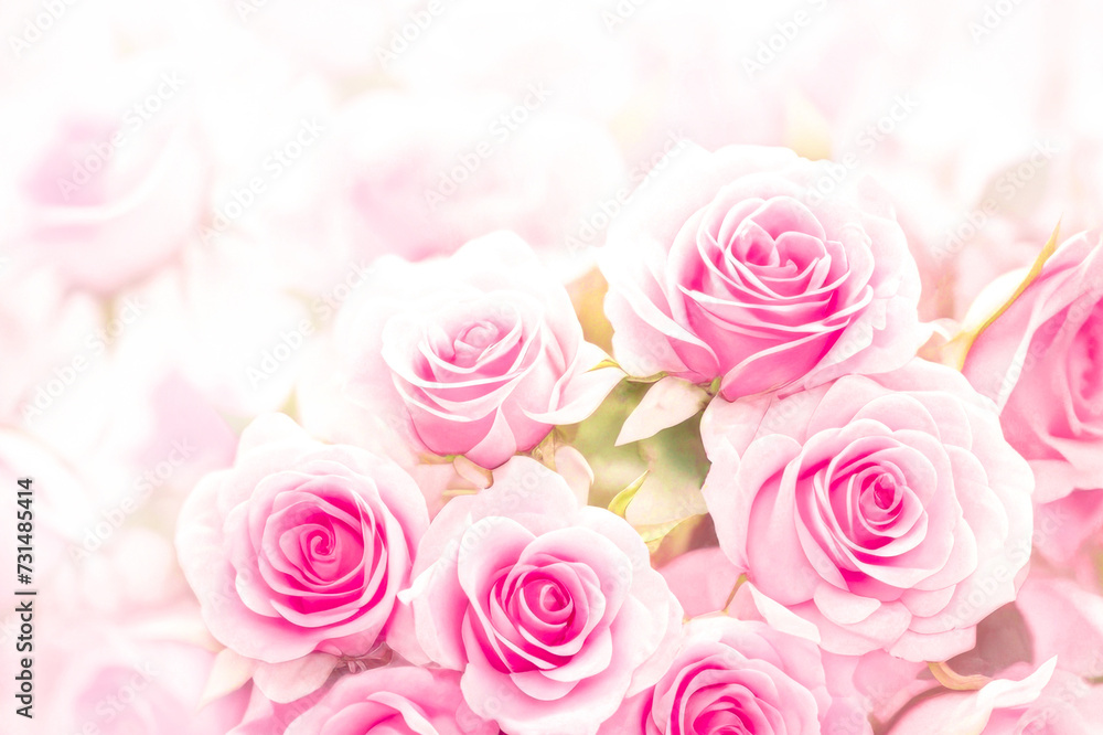 Delicate Pink Roses Flower on light blurred background. Beautiful pink roses bouquet, close up. Springtime concept. Valentine's Day, Women's Day, Mother's Day Delicate Pink Roses Flower on light blurred background. Beautiful pink roses bouquet, close up. Springtime concept. Valentine's Day, Women's Day, Mother's Day