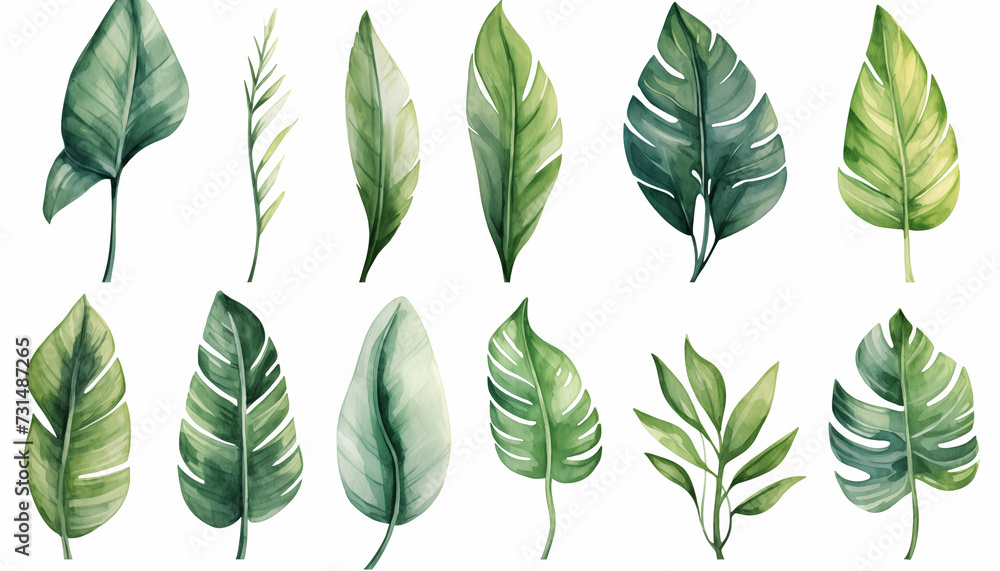 Watercolor drawing. set of tropical leaves banana - obrazy, fototapety, plakaty 