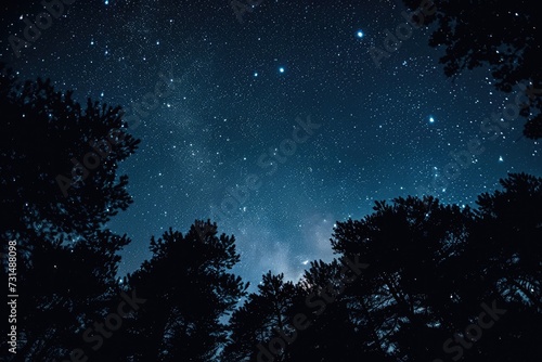 Experience the tranquility of a star-filled night sky complemented by the beauty of surrounding trees, A blanket of stars over a darkened forest, AI Generated