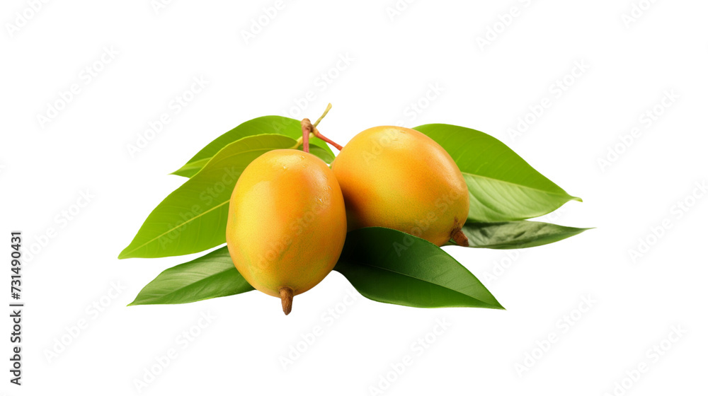 View of mangoes lined up