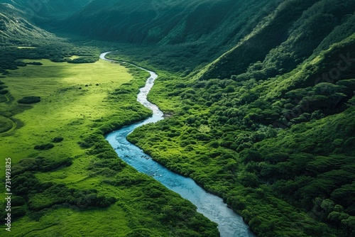 A winding river cuts through a dense green valley, carving a path through the lush landscape, A winding river flowing through a lush green valley from above, AI Generated