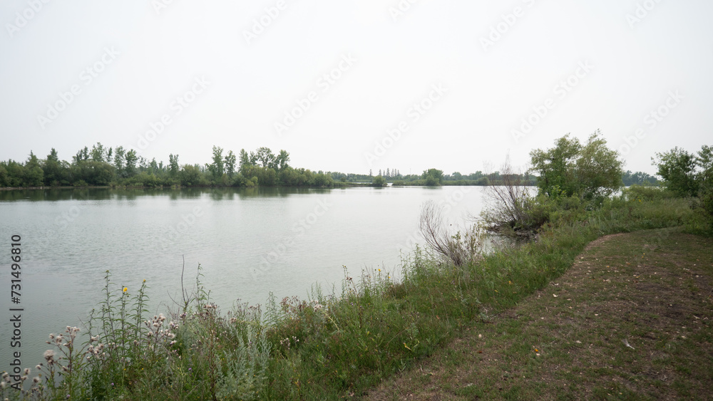 Obraz premium lake and forest