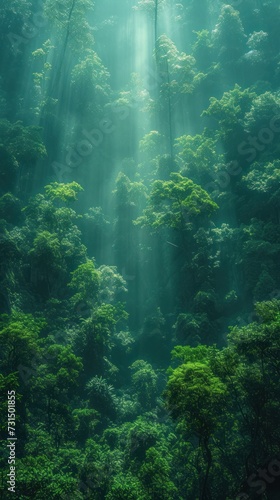 Majestic Light Rays Through the Forest Canopy