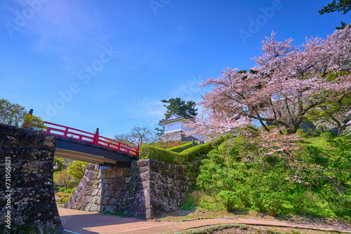 桜咲く神奈川県小田原市の小田原城址公園の常盤木橋付近から常盤木門方面を見る