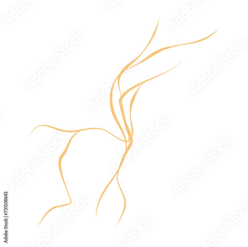 Marble Texture lines