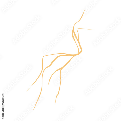 Marble Texture lines