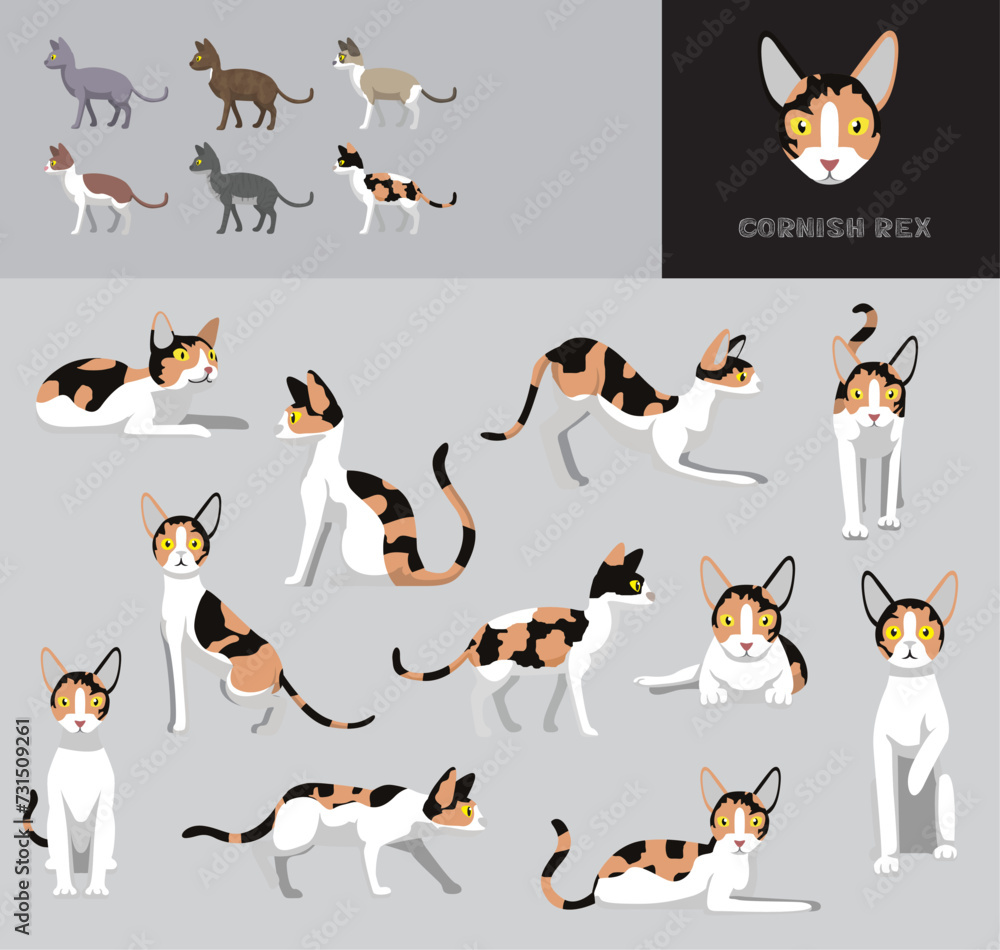 Cat Calico Cornish Rex Cartoon Vector Illustration Color Variation Set
