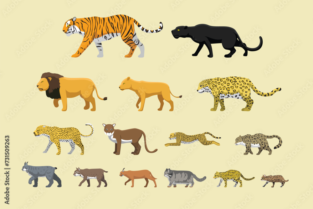 Vecteur Stock Wild Cats Feline Side Size Comparison Set Cartoon Vector ...