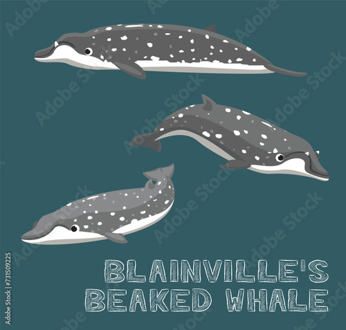 Blainville's Beaked Whale Cartoon Vector Illustration