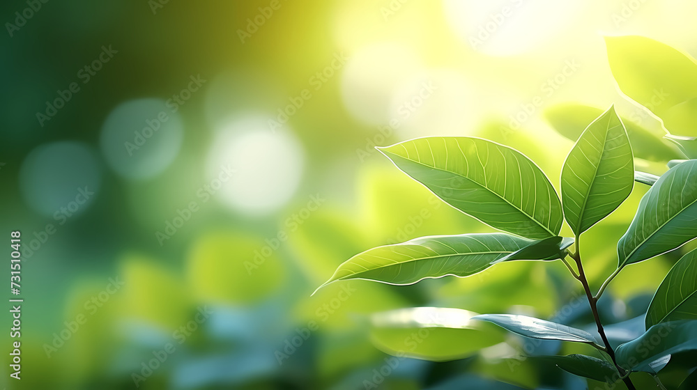 Spring background, green natural rustic background Spring background, green natural rustic background