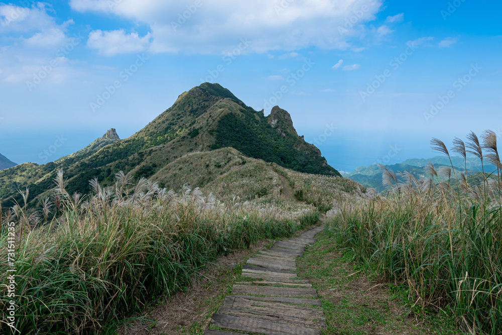 Small trails on the mountain ridge with Miscanthus covered the mountain in Jinguashi, New Taipei City, Taiwan. Small trails on the mountain ridge with Miscanthus covered the mountain in Jinguashi, New Taipei City, Taiwan.